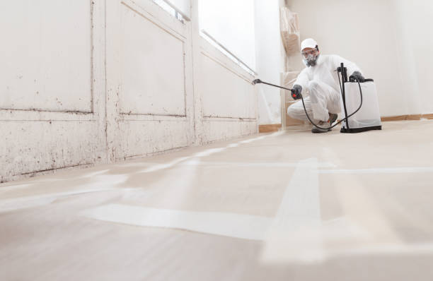 24/7 Emergency Attic Mold Removal experts in Richmond, KY